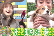 “動画公開!!” 百田夏菜子『どうぶつピース!! 人気企画３時間半ＳＰ』出演決定！
