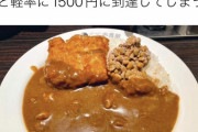 【画像】CoCo壱さん、とにかく値上げでぼろ儲け作戦開始してしまうｗｗ