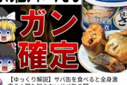 Youtuber｢サバ缶､ヨーグルト､ペットボトルのお茶､やばいです｣