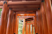 【鳥居の下でノリノリダンス】伏見稲荷、外国人観光客に「残念」　掲示板「白人様なら仕方ない」