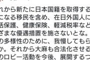高学歴タレント・モーリー氏「在日外国人には生活保護、健康保険、軽減税率など優遇措置を施さないとな。日本の多様性のために、我慢してもらおうか」