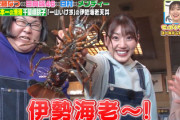 【日向坂46】みーぱん＆丹生ちゃん、伊勢海老にビビりまくりwwww【せっかくグルメ】