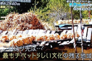 【画像】テレ朝、チベット高地を行く特番で「酸素濃度70％」などと表記してツッコミ殺到