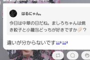 【悲報】AKB17時間配信、料理対決出場予定のメンバー「焼き餃子と小籠包の違いがわからないです」