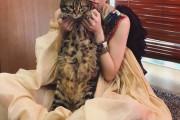 【元乃木坂46】伊藤万理華 with キャット