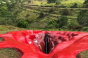 ブラジルのフェミが畑に巨大女性器を建造