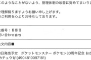 【悲報】「ピカチュウぬい」購入者、まさかの理由で強制キャンセルされるｗｗｗｗ