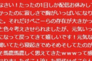 去年ワイ「バチャヲタくっさｗ」正月ワイ「切り抜き動画？暇やから見てみるか……」