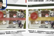 【独自】食用コオロギの会社が破産…その真相とは 経済ジャーナリストが分析「SDGsというきれい事だけではビジネスはできない。ベンチャー投資ブームが終わった」