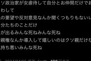 【悲報】普通の日本人女性「共同親権クソ男死ね！死ね！マジで憎い憎い憎い死ね死ね死ね！」