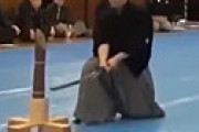 【動画】 初撃が見えない・・ 衝撃の達人技を捉えた動画にネット震撼