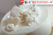 西川貴教コラボのクリスマスケーキ、変わり果てた姿になって届く