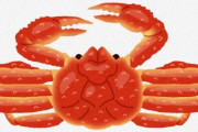 メスのカニを食べるのは日本人くらいらしい