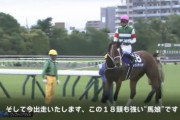 印多すぎ競馬予想TV