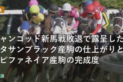 ジャンゴッド新馬戦敗退で露呈したキタサンブラック産駒の仕上がりとエピファネイア産駒の完成度