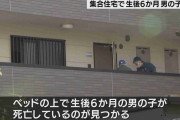 「子どもが冷たくなっている」 集合住宅で生後6か月の男の子死亡　母親が通報　愛知・大治町