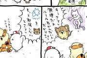 【画像】ちいかわのナガノ、ポケモンカードにハマるもルールがわからない→結果