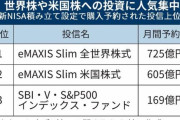 新NISAの投資先、海外投信に集中してしまう