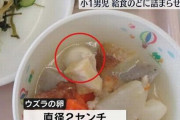 【ド正論】小学1年生が『うずらの卵』を喉につまらせて窒息死　→　現場の小5子供が考えた原因が専門家の憶測より圧倒的説得力！「昔から給食はコレ」