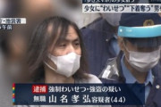 スマホに夢中の少女に背後から襲い掛かりパンツを引きちぎって奪い取った男逮捕