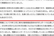 【悲報】捨て猫拾った系YouTuber、「ヤラセ」「虐待」と判断され収益無効化