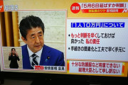 安倍ちゃん「もっと早く決断しとけば良かった。スマン、、」素直じゃん頑張れよ　コロナに関してはアビガン確保決めてただけで大金星だぞ