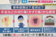 【観光】「旅行に行こうと思っていたのに…」日本で致死率３０％の感染病が急速に拡散