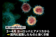 【国立感染症研究所】中国・武漢から来た第1波の封じ込めには成功したが、欧米からの第2波が国内に拡大した