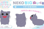 Vtuber NEKOのぬいぐるみ買った？てか何がグッズ化されたらみんな嬉しい？