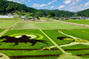 羽生くん「田んぼアート」国内外から過去最高3万人以上が訪れたよう！！すごい！！