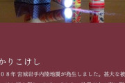 【画像あり】こけし業界「地震に役立つ商品……せや！✨」