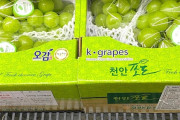 韓国メディア、シャインマスカット問題で憤慨　日本、国産品種保護の専門機関設立へ＝ネット「今さら遅い」 ［6/15］