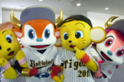 【朗報】 オリックス、阪神に愛想をつかせたファン大量流入で一躍パリーグトップの人気球団へ