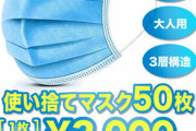 マスク50枚入り3000円←なんでこれが普通の世の中になってんの？？