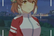 【ウマ娘】ダンツフレームをイヤらしい目で見ないでください。←「公式も狙ってるフシがあるよな」