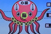 【悲報】タコ、ただの化け物だった、脳が９個で心臓が３個ある