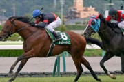 ディープ産駒のアルバートドックがイタリアで種牡馬リーディング３位