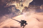 【MHWアイスボーン】ストーリーMR4なんだが、ブラキの爆破太刀とナルガ太刀(夜刀月影)で悩んでる