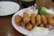 このカキフライ定食に950円出せますか？