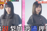 欅坂46のWワタナベを例として紹介！わたなべの「なべ」の漢字が多い理由、諸説ある模様【林修のニッポンドリル】