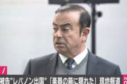 【急募】ここからカルロス・ゴーンさんを捕まえる方法
