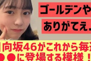 日向坂46がこれから毎週○○に登場する模様・・！