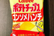 大人になっても、ポテトチップのうすしおとノリ塩は食うのにコンソメを食わなくなるのは何故か？