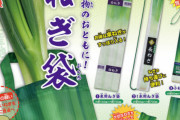 買い物帰りの長ネギの邪魔さは異常