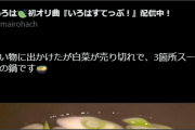 【鍋】ござる、白菜を手に入れることができませんでした・・・