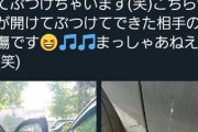 【悲報】女さん、他人の車を故意にドアパンして上機嫌・・・