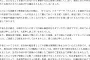 【速報】炎上中の『すとぷり』ななもり、改めて謝罪。無期限休止も社長は継続する模様