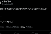 「キャラを貶すエアプ二次創作だと学マス界隈を追い出されたのでブルアカで神絵師生活することにしました」