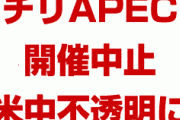 米国と中国の通商合意、チリAPEC開催中止で不透明に　　代替の開催地も決まらず