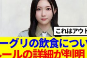 【櫻坂46】ミーグリの飲食について、ルールの詳細がこちら…